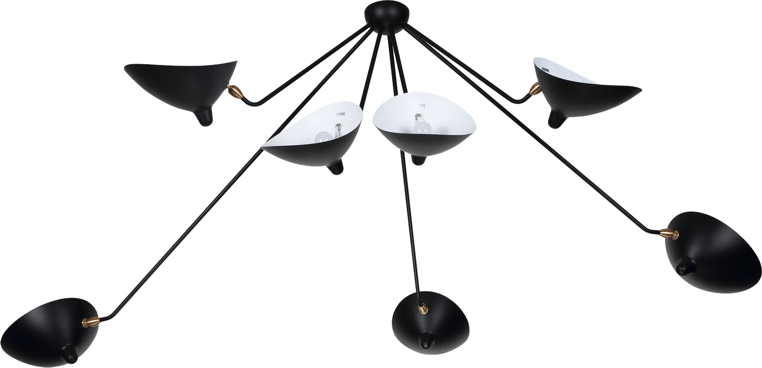 Spider Ceiling Lamp 7 Still Arms Black image.