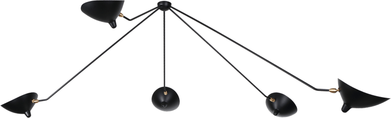 Spider Ceiling Lamp 5 Still Arms Black image.