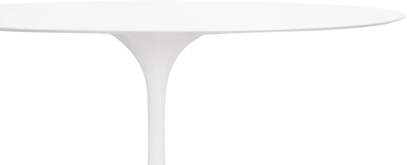 Tulip Style Oval Dining Table Fibreglass/White image.