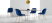 Beetle Style Dining Chair - Full Upholstered Velvet Blue Velvet/Gold image.