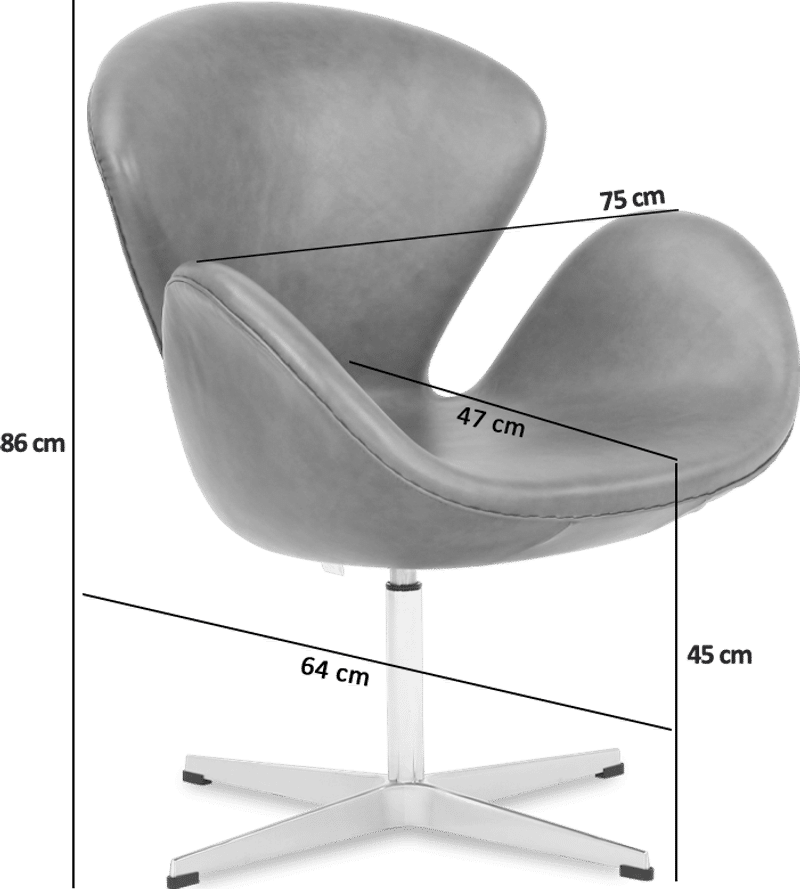 The Swan Chair 