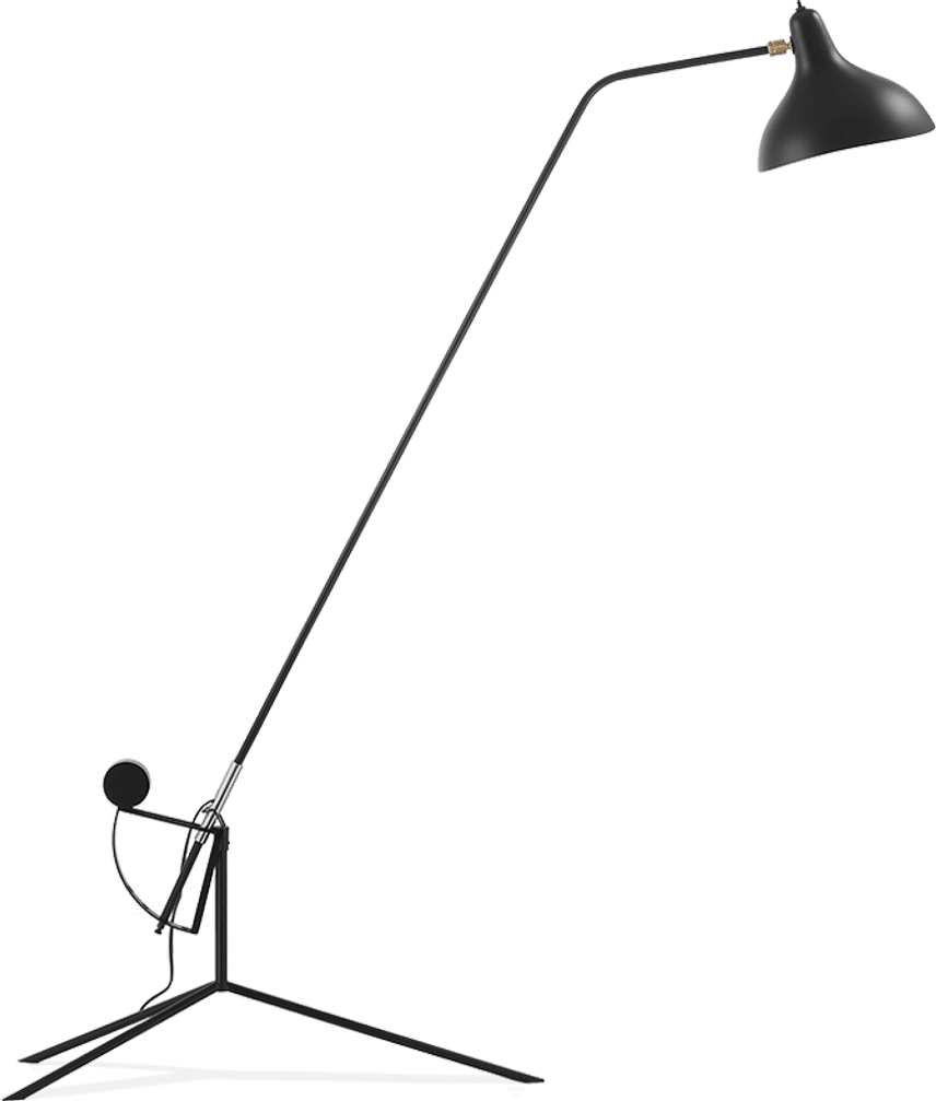 Mantis BS1L Style Floor Lamp Black image.
