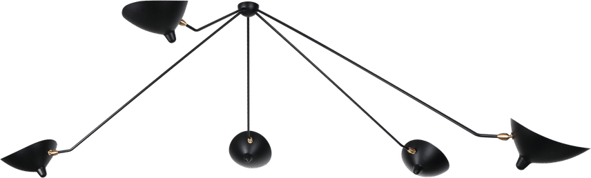 Spider Plafondlamp 5 Nog Armen Black image.