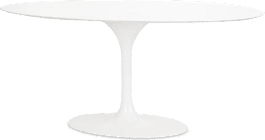 Tulip Style Oval Dining Table Fibreglass/White image.